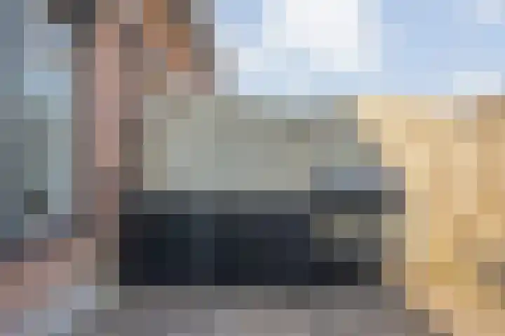 Wulp 81 Raalte thumbnail 33