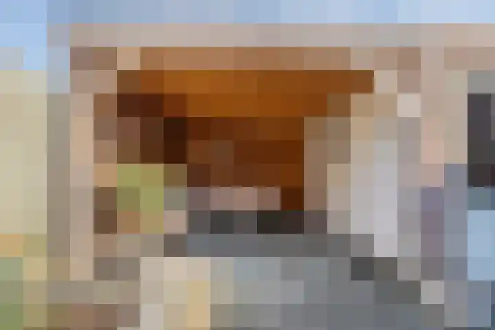 Wulp 81 Raalte thumbnail 36