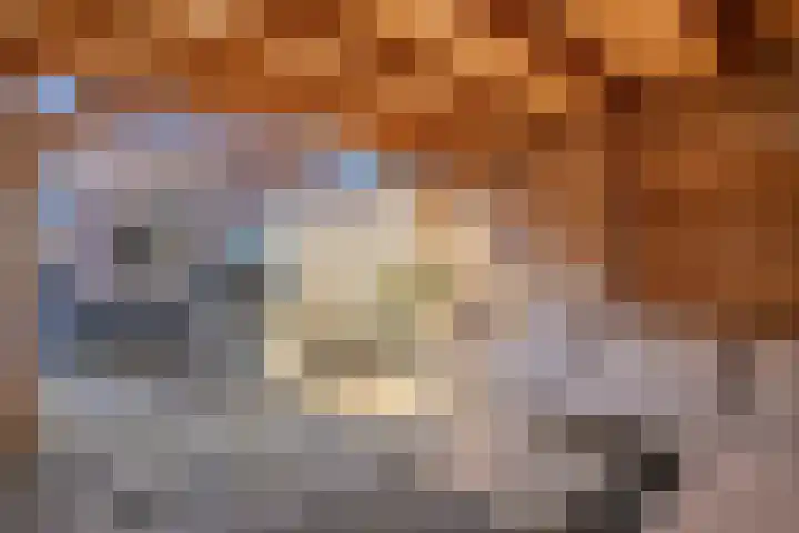 Wulp 81 Raalte thumbnail 38