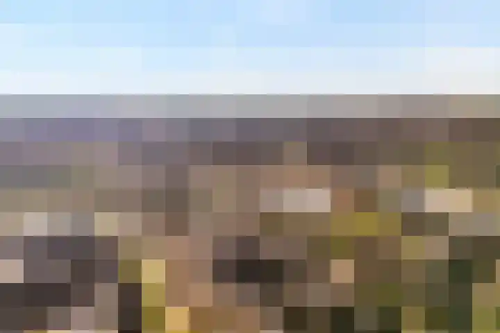 Wulp 81 Raalte thumbnail 39