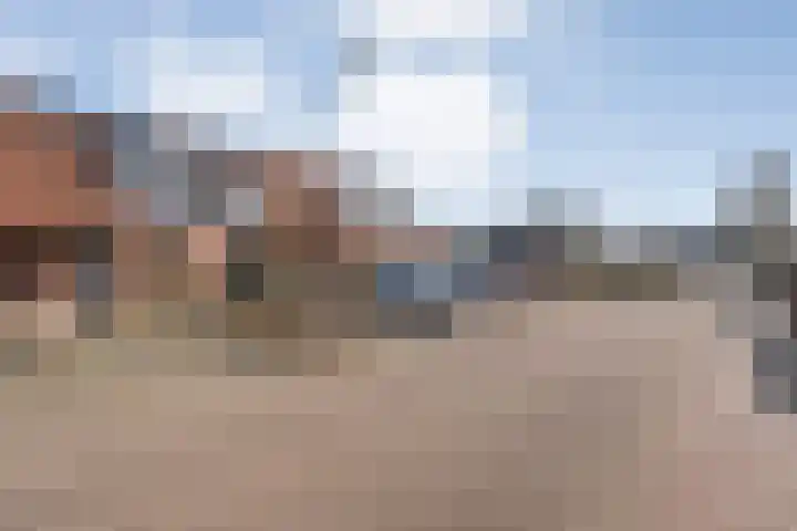 Wulp 81 Raalte thumbnail 4