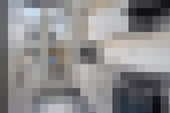 Wulp 81 Raalte thumbnail 5