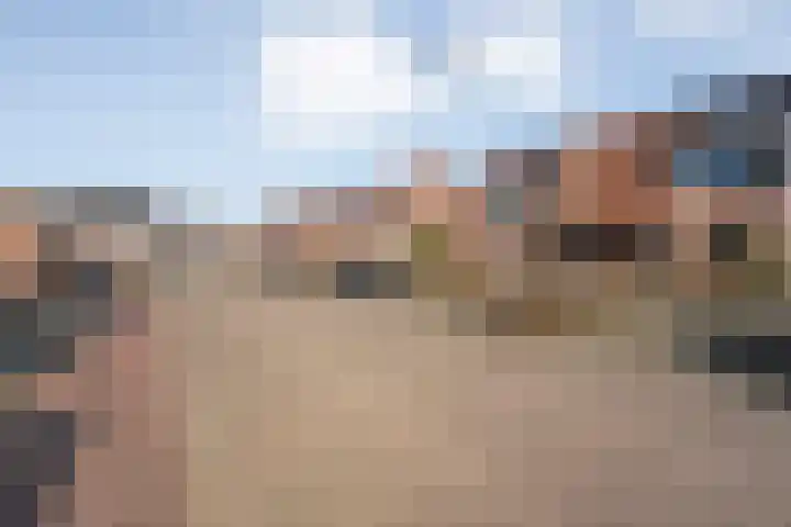 Wulp 81 Raalte thumbnail 5