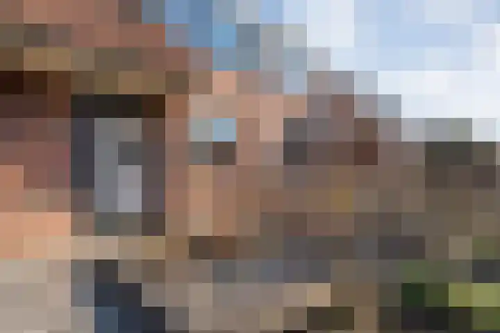 Wulp 81 Raalte thumbnail 6