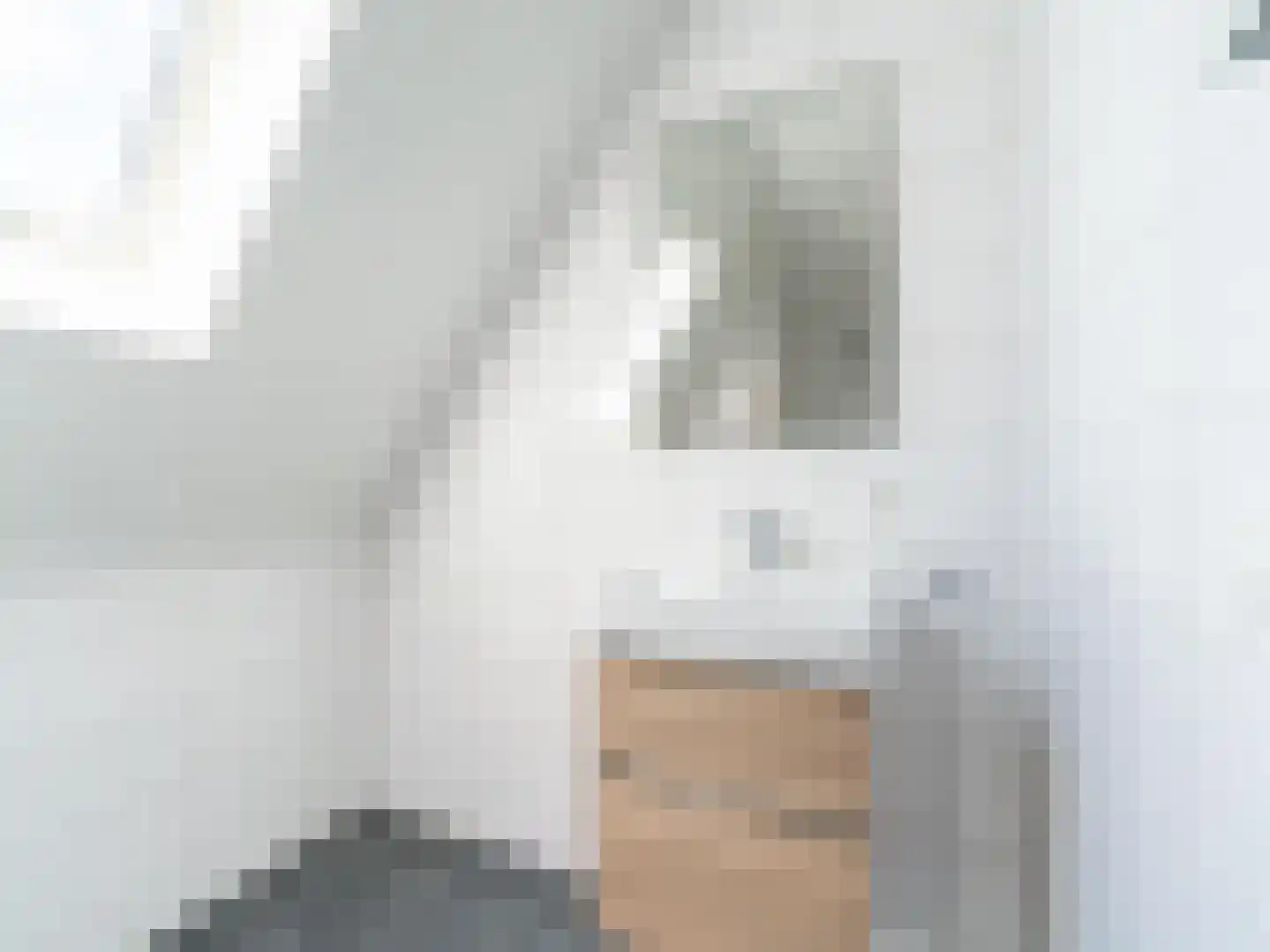 Wulpdal 29 Scherpenisse thumbnail 27