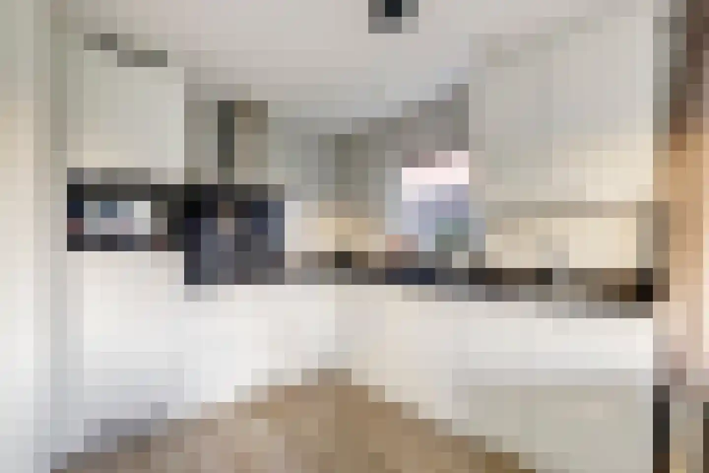 Wulpdal 33 Scherpenisse thumbnail 9