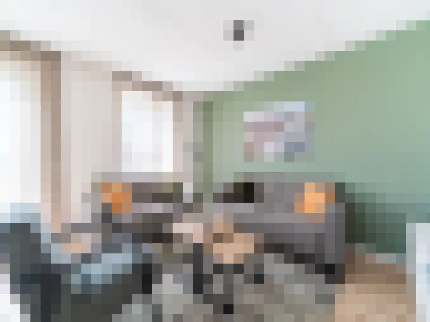 Wulpdal 34 Scherpenisse thumbnail 12