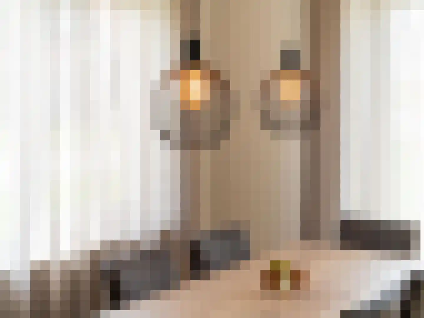Wulpdal 34 Scherpenisse thumbnail 16