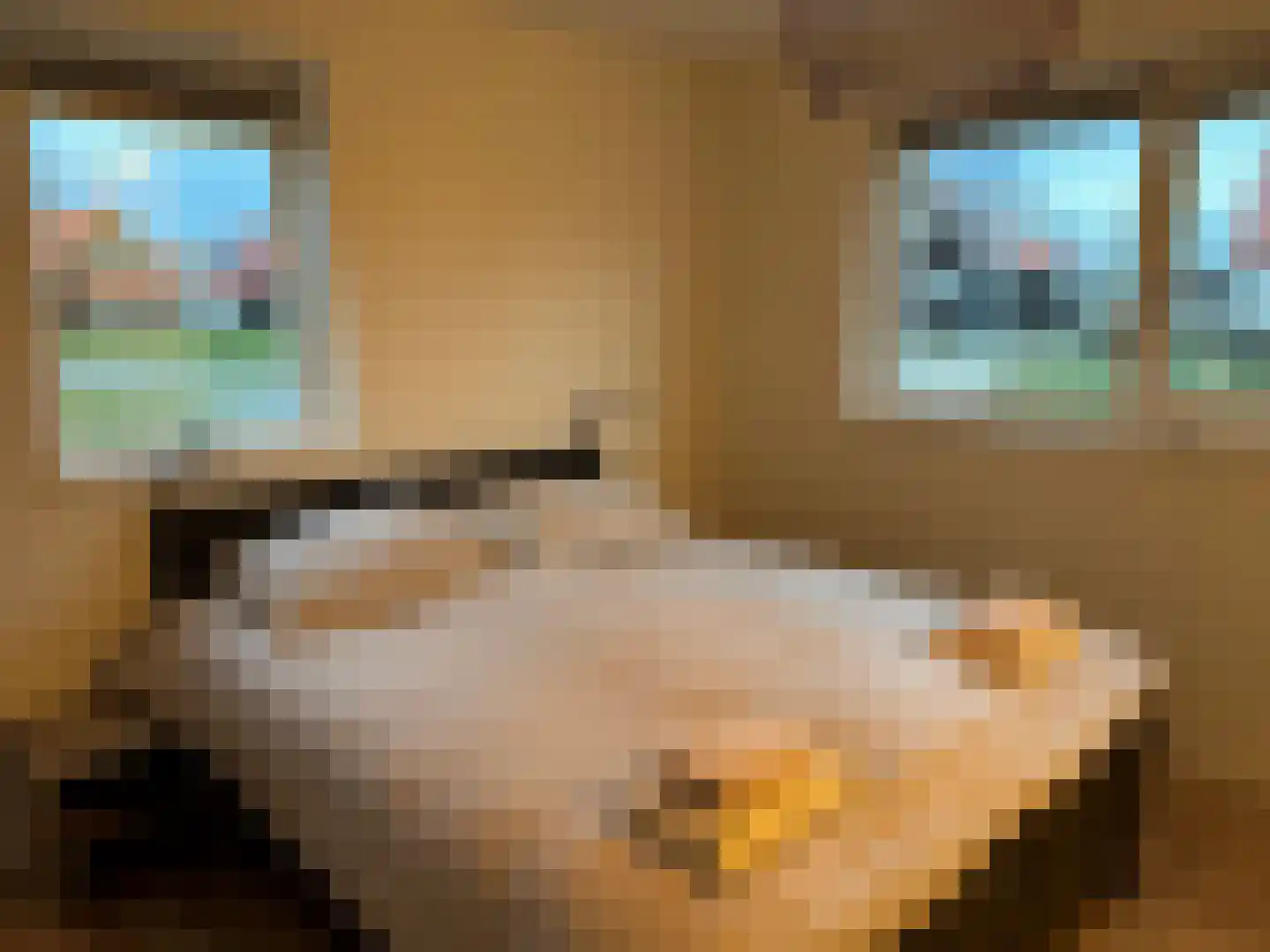 Wulpdal 34 Scherpenisse thumbnail 19
