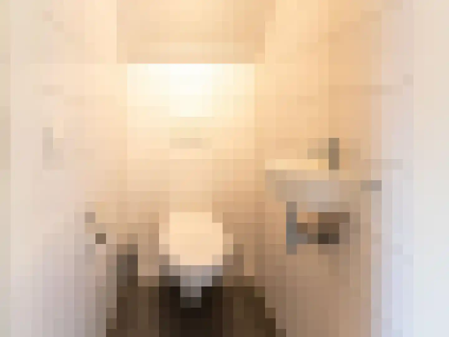 Wulpdal 34 Scherpenisse thumbnail 30