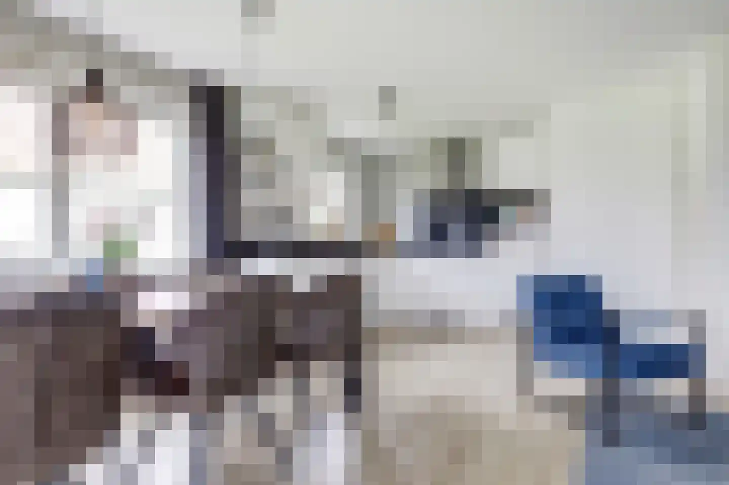 Wulpdal 39 Scherpenisse thumbnail 13