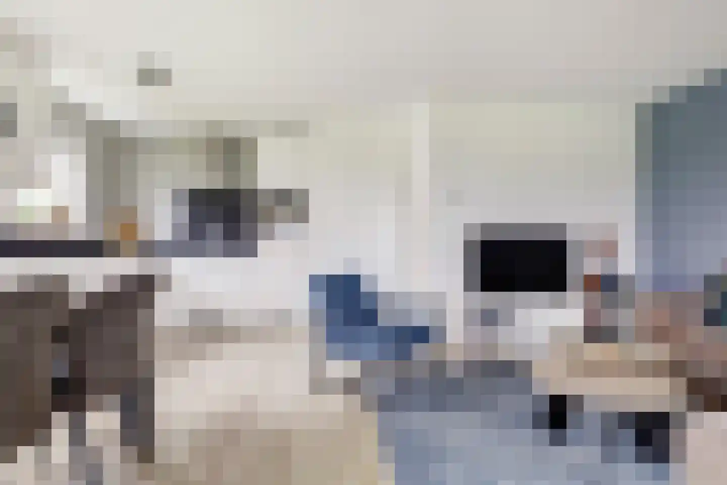 Wulpdal 39 Scherpenisse thumbnail 14