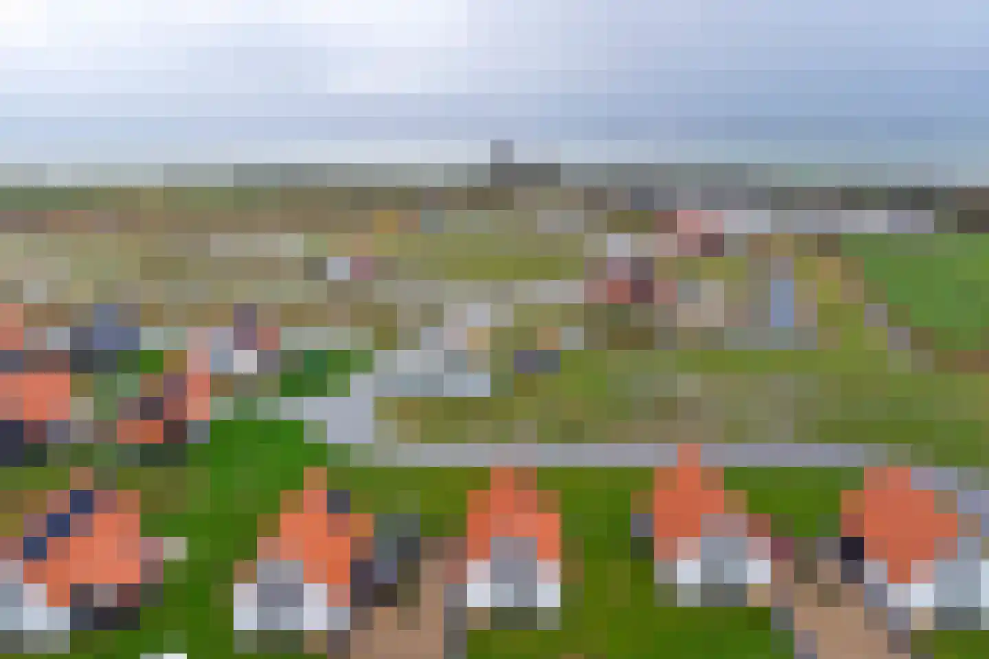 Wulpdal 39 Scherpenisse thumbnail 29