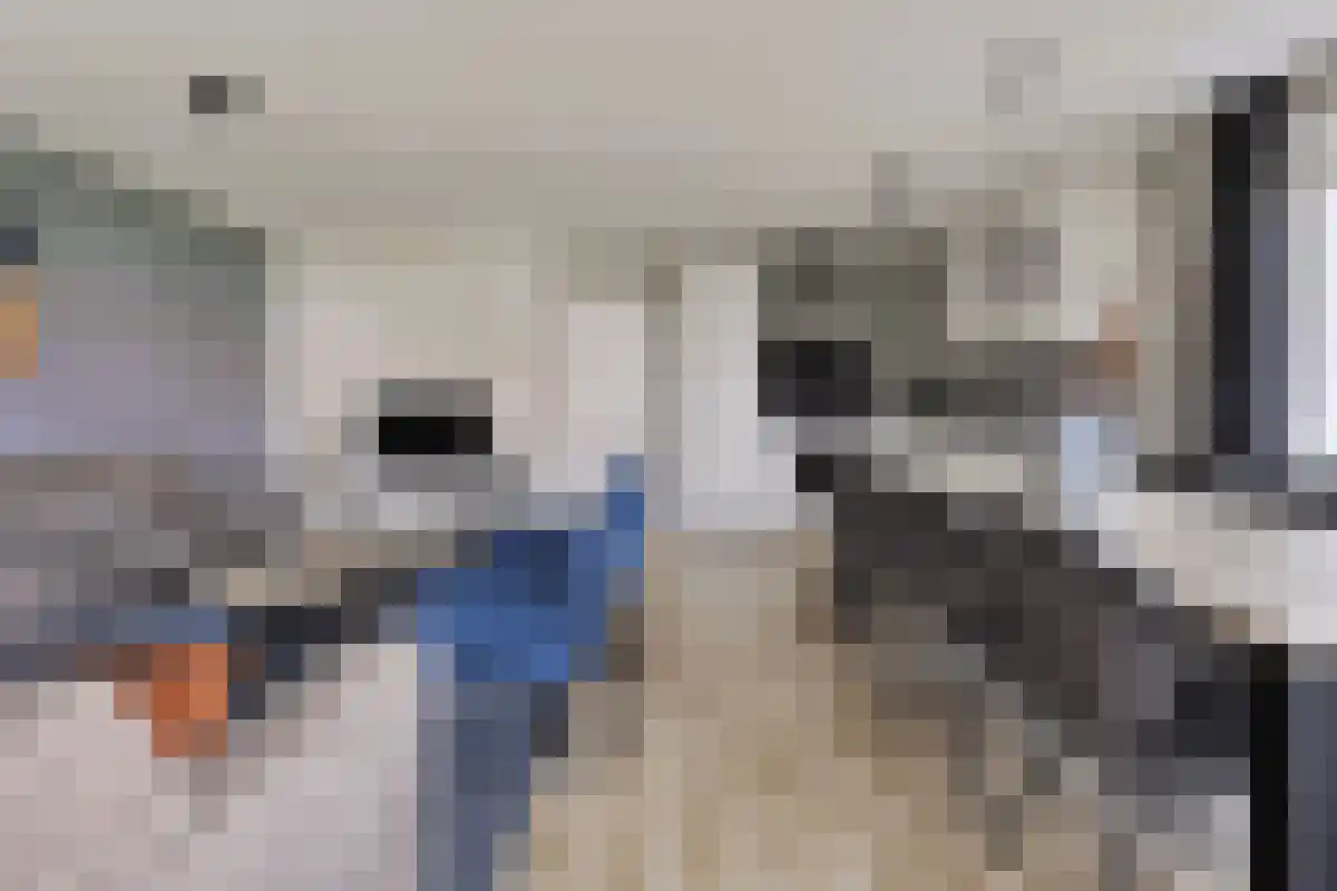 Wulpdal 44 Scherpenisse thumbnail 6