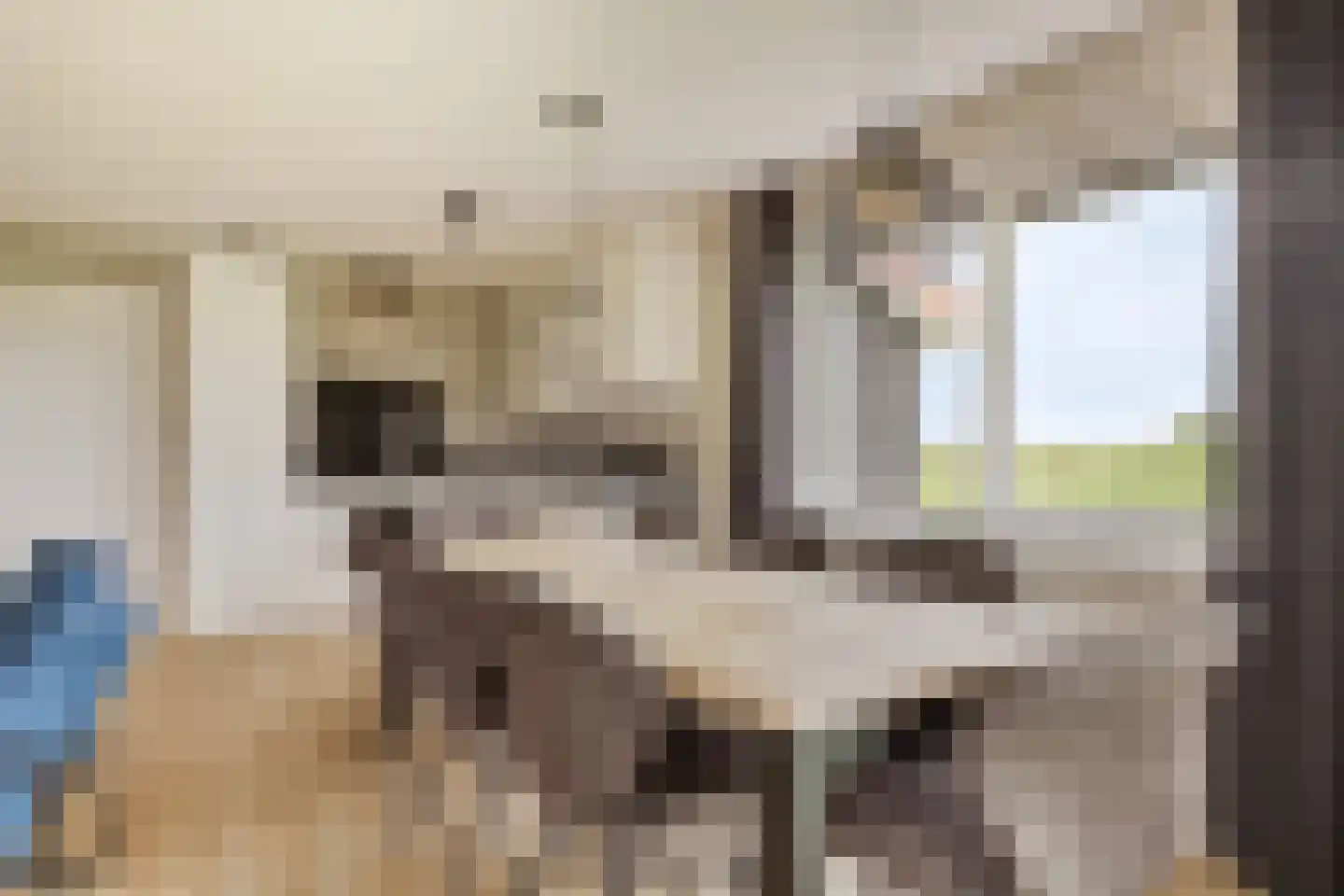 Wulpdal 47 Scherpenisse thumbnail 17