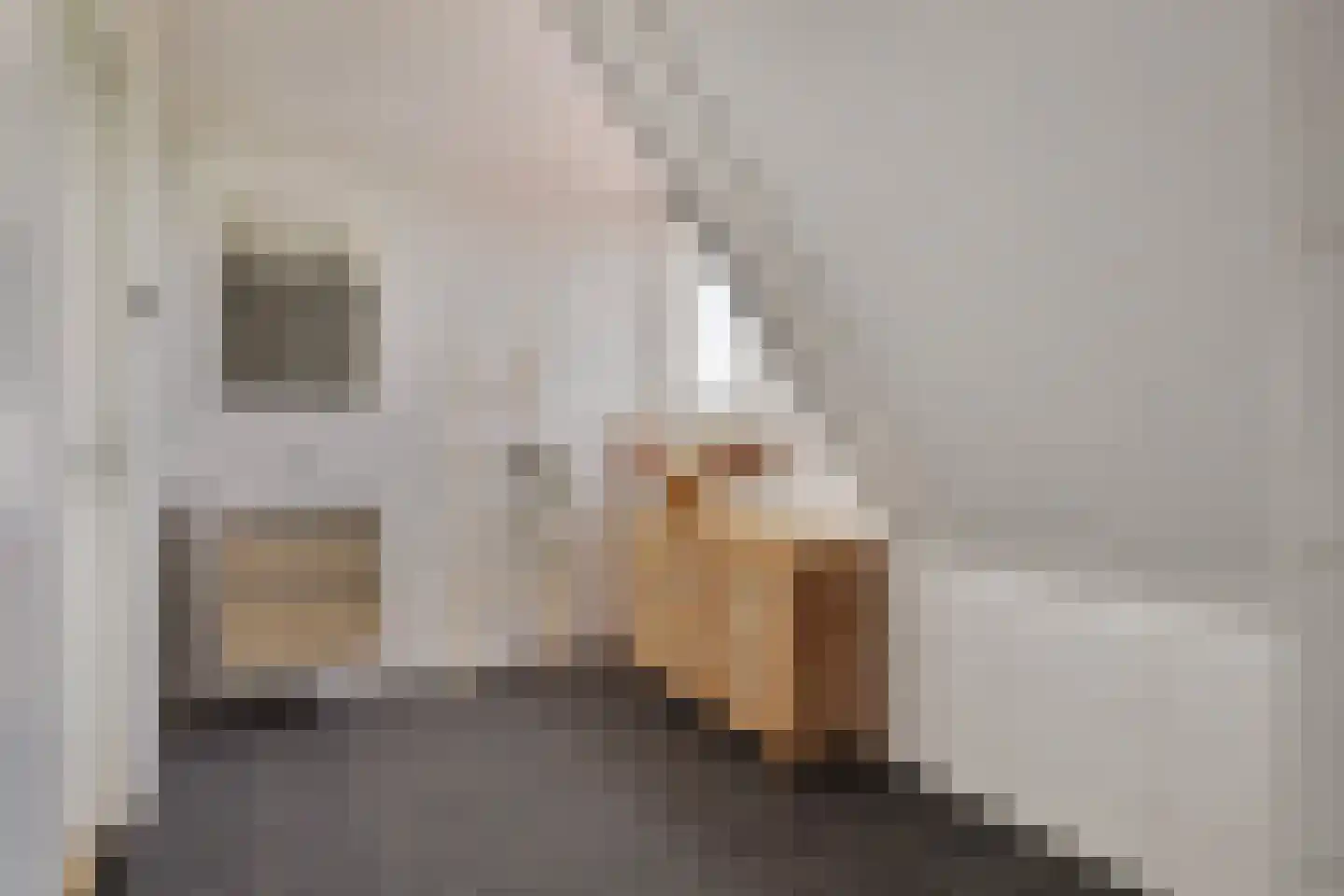 Wulpdal 47 Scherpenisse thumbnail 35