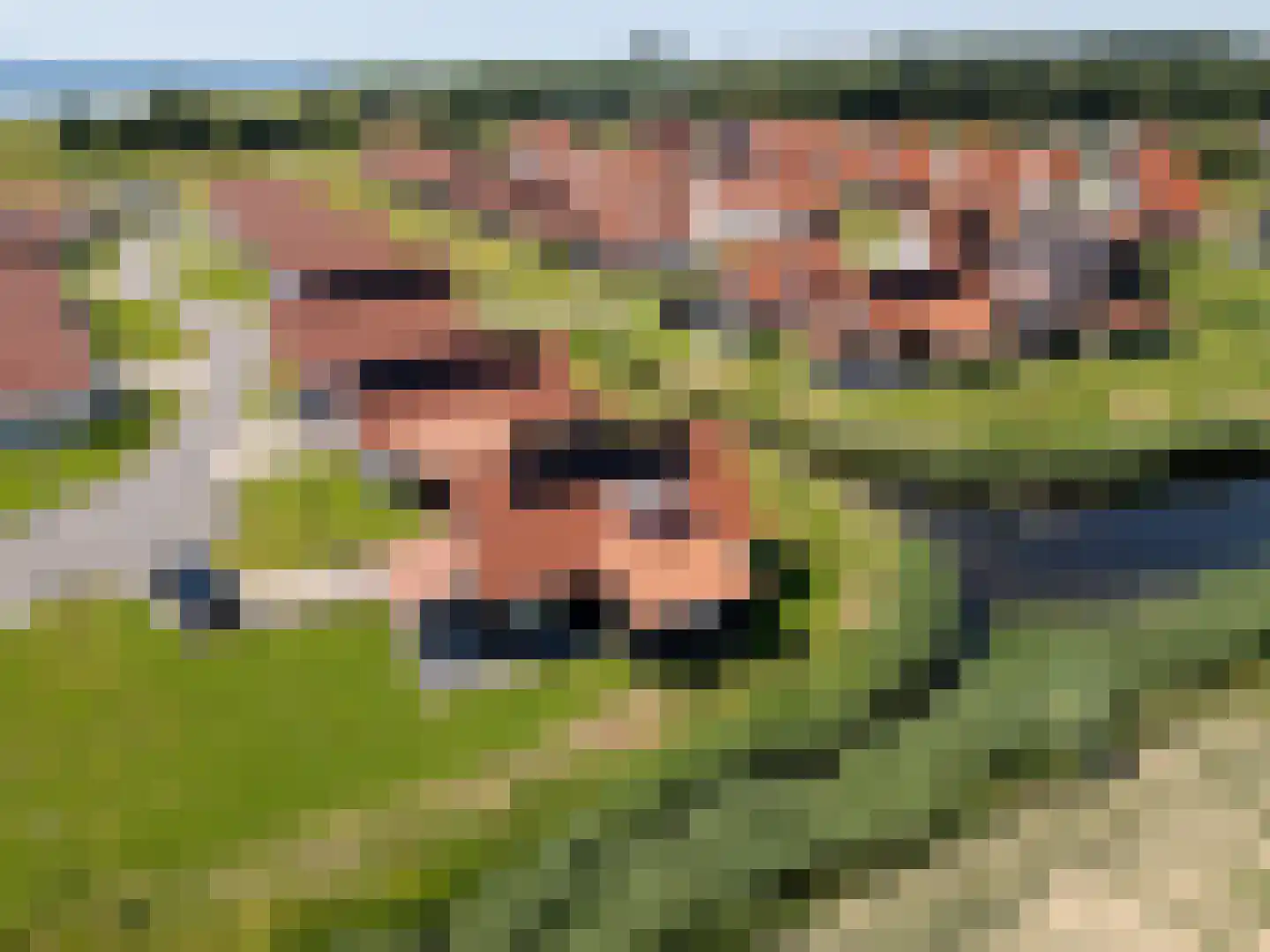 Wulpdal 47 Scherpenisse thumbnail 57