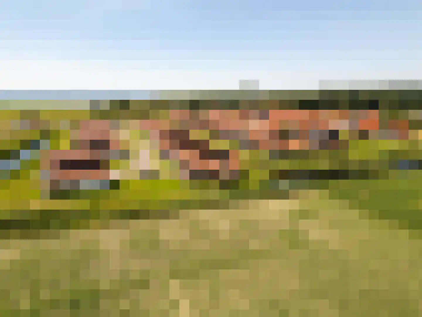Wulpdal 47 Scherpenisse thumbnail 58