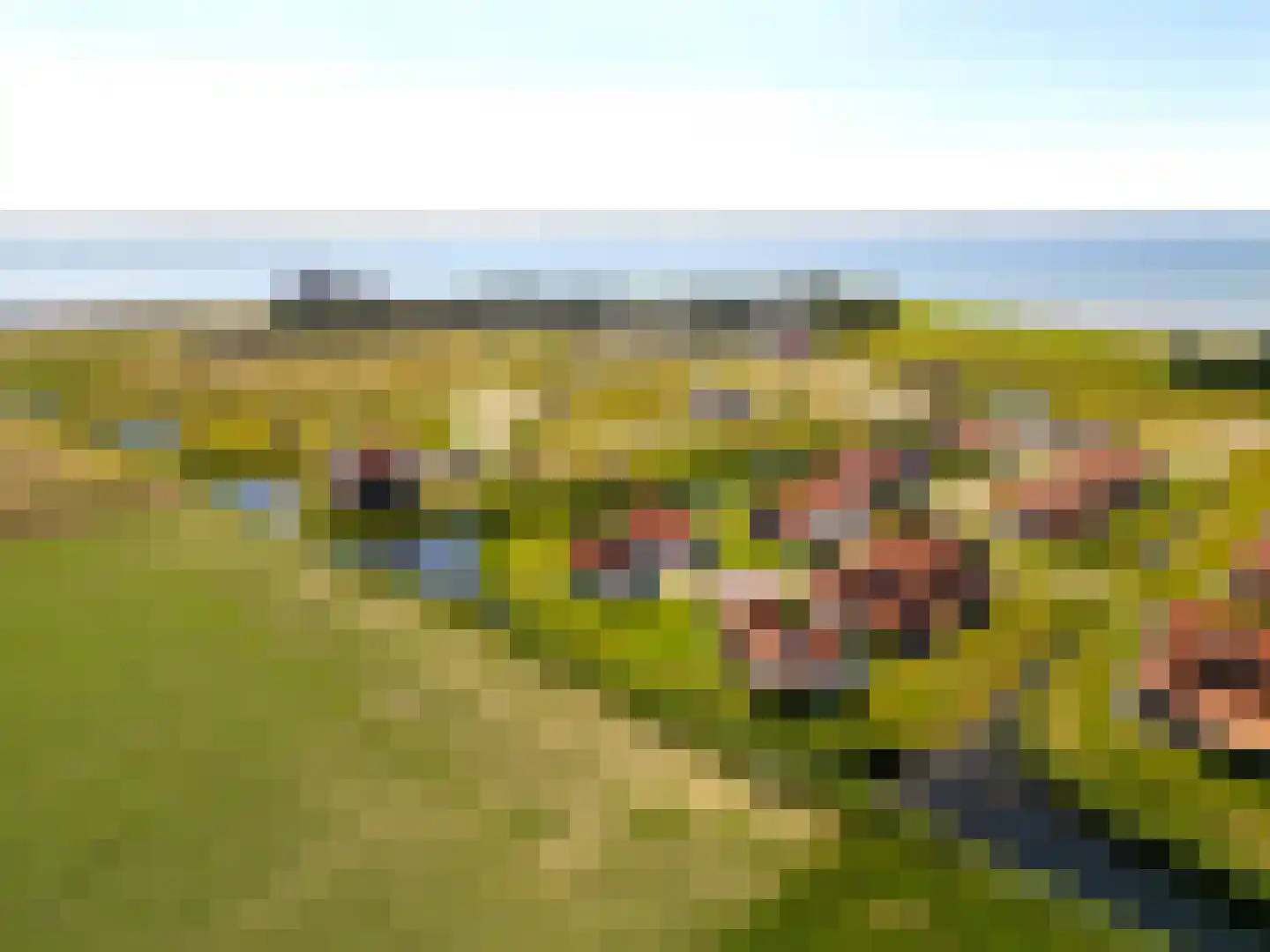 Wulpdal 47 Scherpenisse thumbnail 59