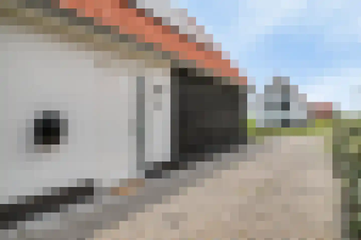 Wulpdal 47 Scherpenisse thumbnail 6