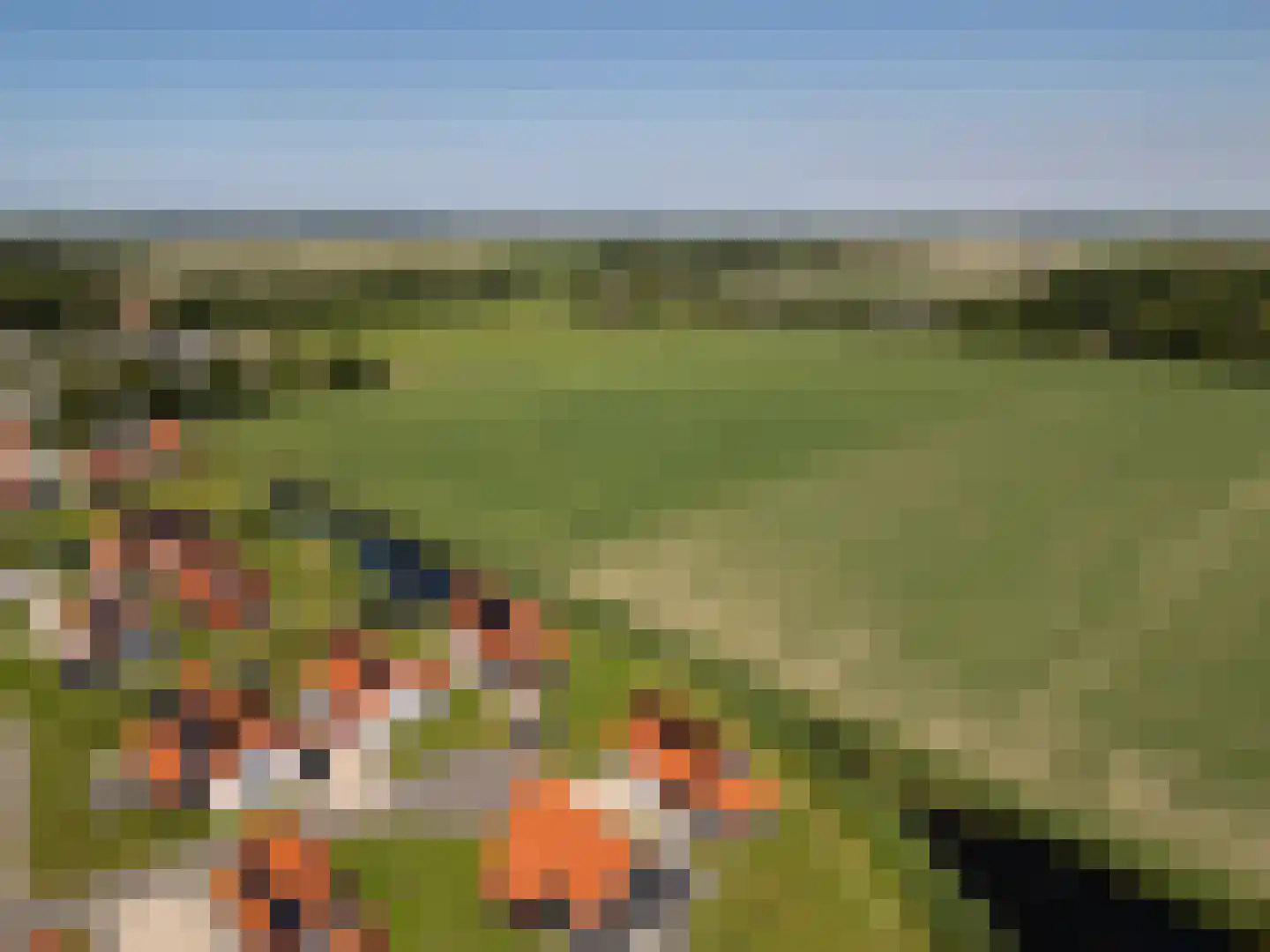 Wulpdal 47 Scherpenisse thumbnail 61
