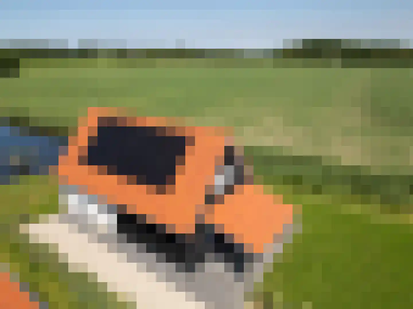 Wulpdal 47 Scherpenisse thumbnail 63