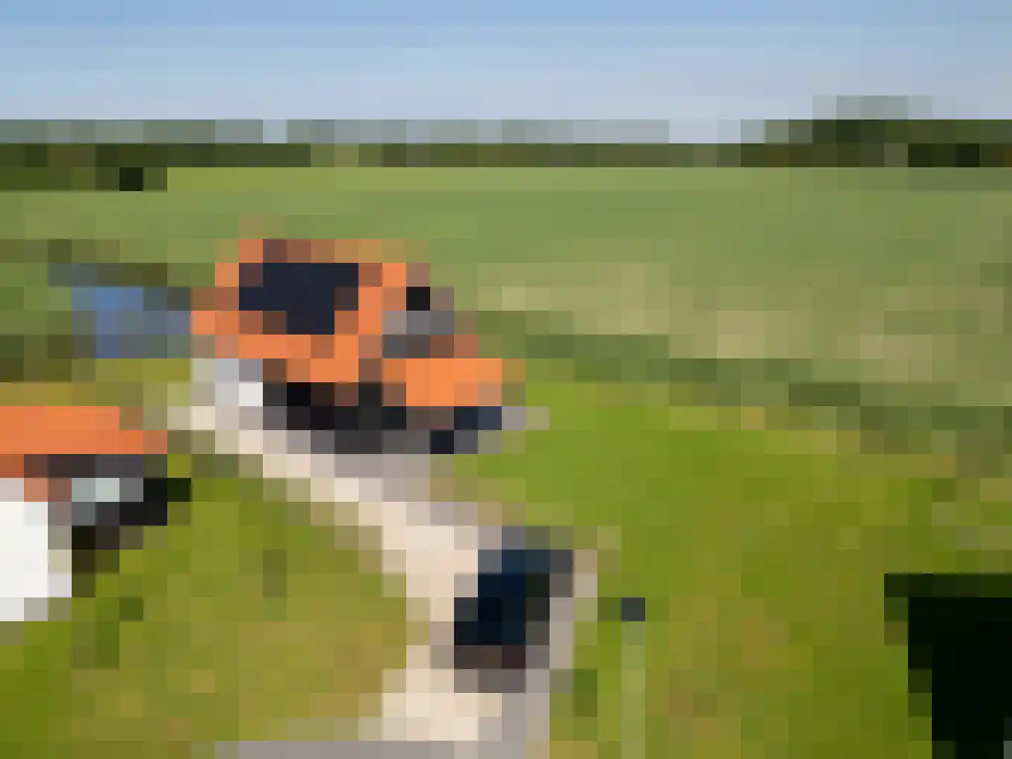 Wulpdal 47 Scherpenisse thumbnail 64