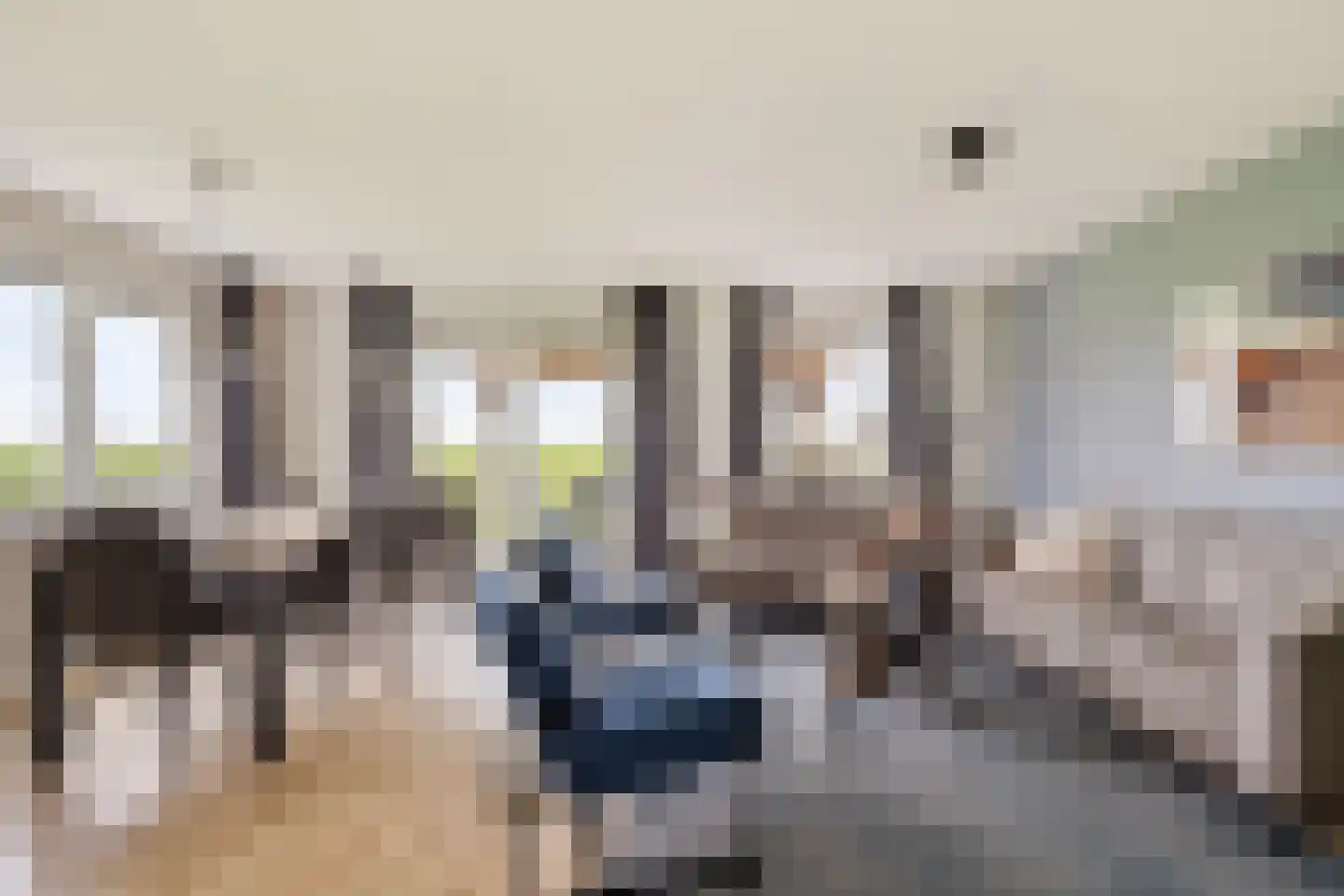 Wulpdal 47 Scherpenisse thumbnail 9