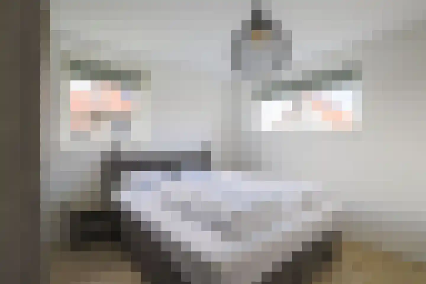 Wulpdal 49 Scherpenisse thumbnail 15