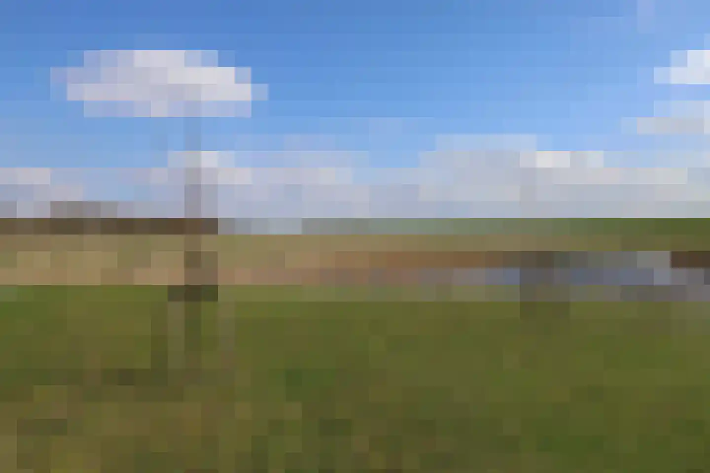 Wulpdal 49 Scherpenisse thumbnail 29