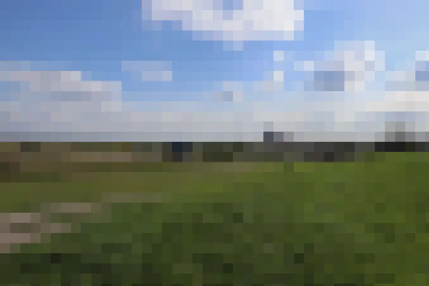 Wulpdal 49 Scherpenisse thumbnail 39