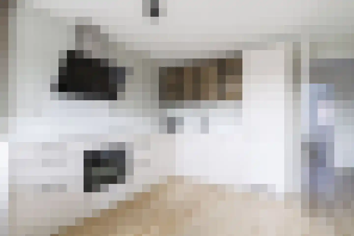 Wulpdal 49 Scherpenisse thumbnail 8