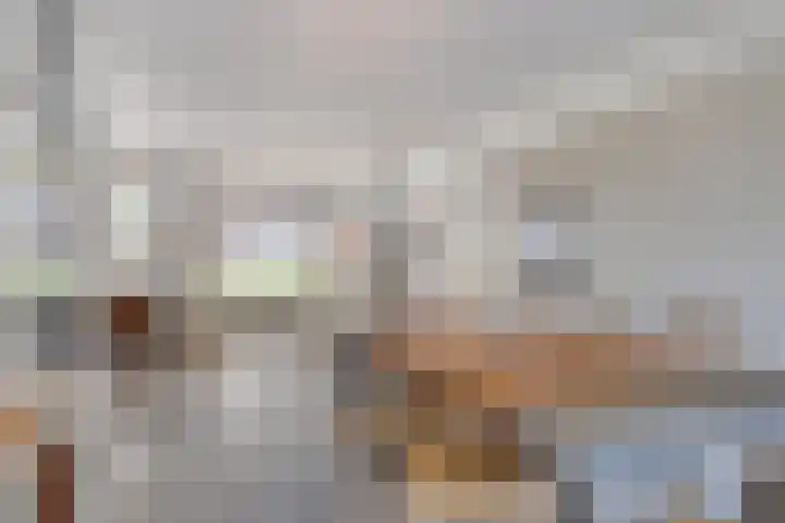 Wulpenlande 46 Pijnacker thumbnail 17