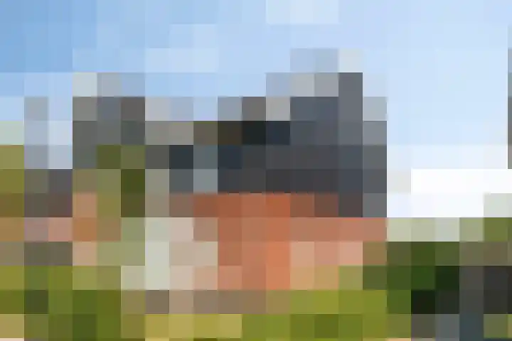 Wulpenlande 46 Pijnacker thumbnail 6