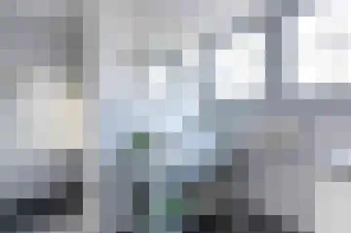 Wulplaan 4 Ede thumbnail 21