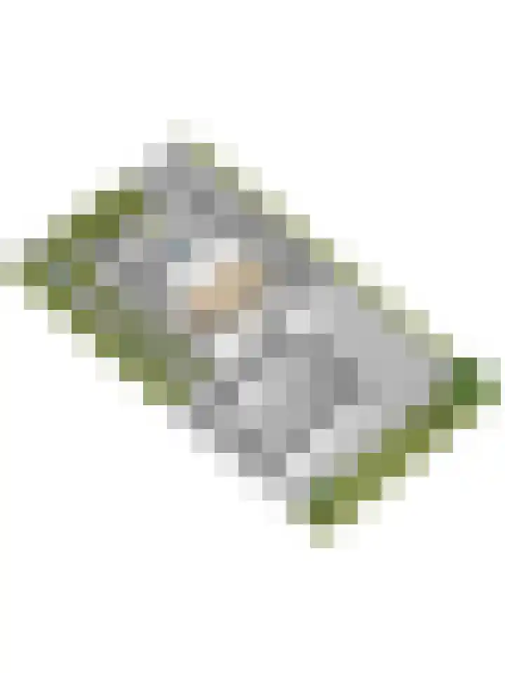 Wulplaan 4 Ede thumbnail 45