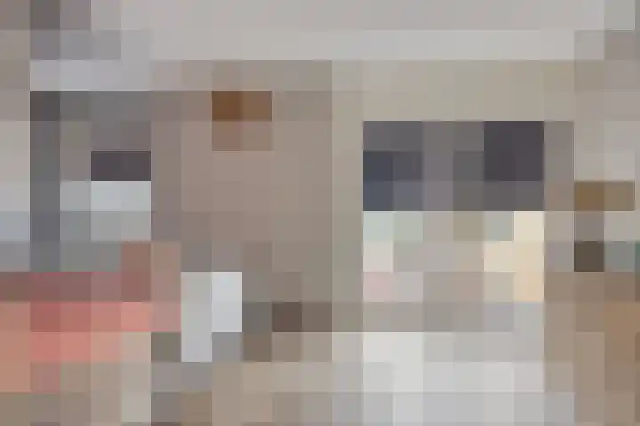 Wulpstraat 22 Tiel thumbnail 18