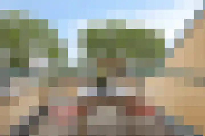 Wulpstraat 22 Tiel thumbnail 21