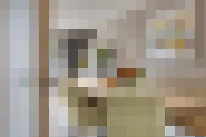 Wulpstraat 22 Tiel thumbnail 6