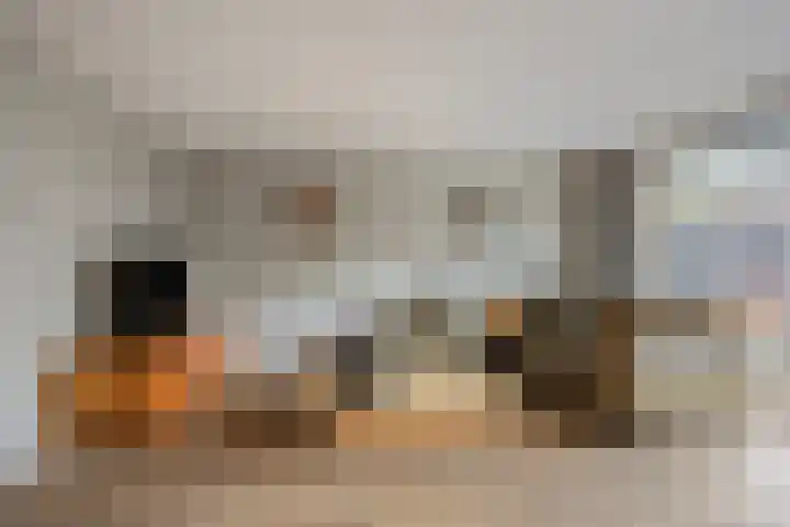 Wulpstraat 22 Tiel thumbnail 8