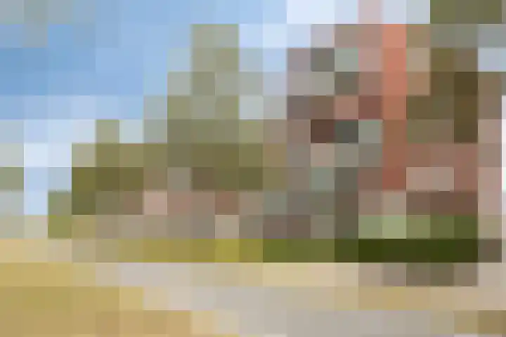 Wulpstraat 94 Hellevoetsluis thumbnail 27