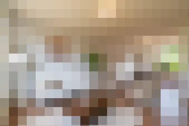 Wunderinklaan 6 Eefde foto 2