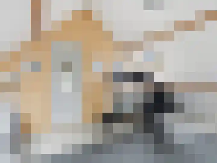 Wunderinklaan 6 Eefde thumbnail 30