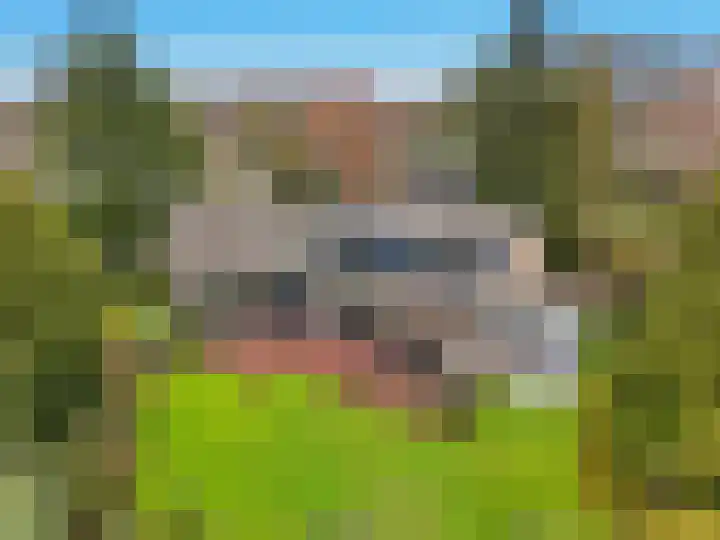 Wunderinklaan 6 Eefde thumbnail 37