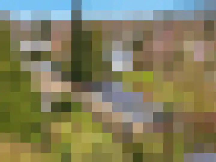 Wunderinklaan 6 Eefde thumbnail 44