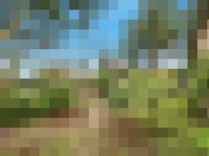 Wunderinklaan 6 Eefde thumbnail 49