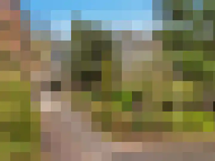 Wunderinklaan 6 Eefde thumbnail 51