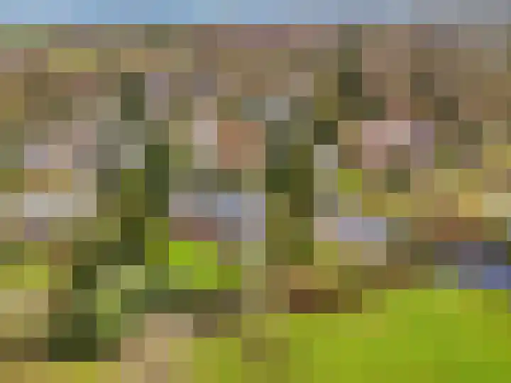 Wunderinklaan 6 Eefde thumbnail 53