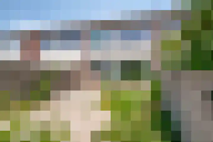Wuustwezelstraat 69 Breda thumbnail 23