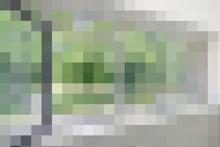 Wuustwezelstraat 69 Breda thumbnail 27